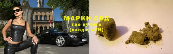эйфоретик Арсеньев