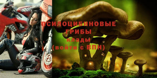 эйфоретик Арсеньев